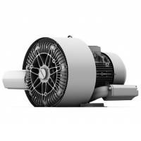 Промышленная вихревая воздуходувка Elektror 2SD 720 - 50/7,5