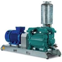 Промышленная водокольцевая вакуумная система Samson Pumps DELTA 20
