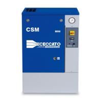 Промышленный винтовой компрессор Ceccato CSM ЗВ MINI 10 бар