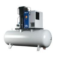 Промышленный винтовой компрессор Ceccato CSL 20 O 500 13 бар с осушителем