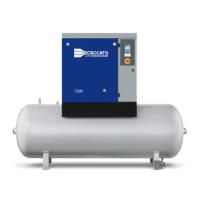 Промышленный винтовой компрессор Ceccato CSM 10-8 TM270-1 MAXI