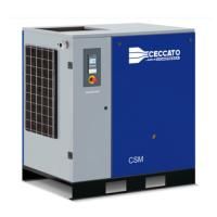 Промышленный винтовой компрессор Ceccato CSM 21-10 бар